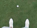 BallPosition005.jpg (531765 bytes)