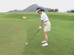 FullSwingFront001.jpg (489545 bytes)